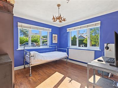 Picture 21
